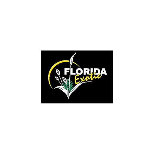 Florida Exotic