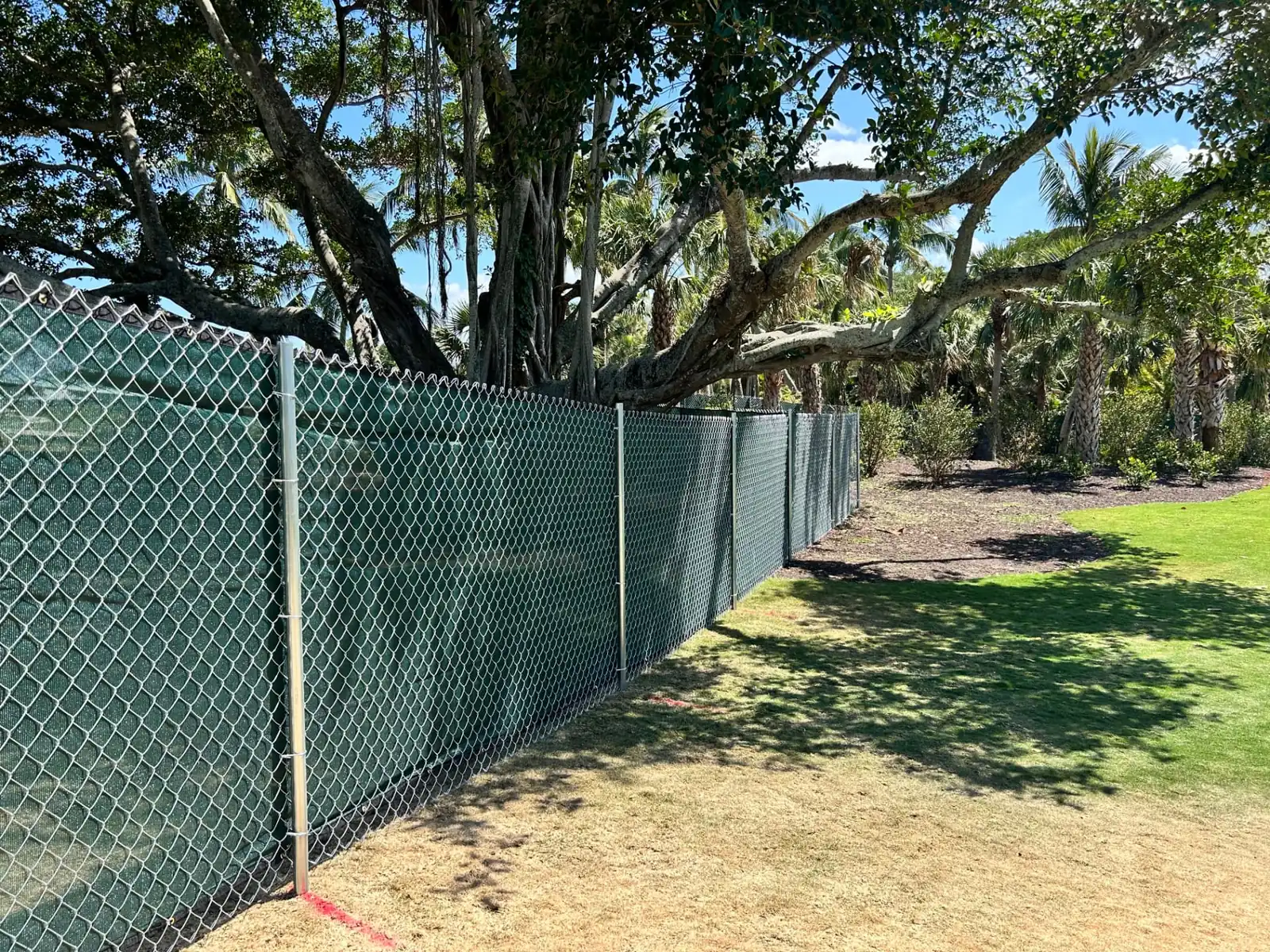 Chain-link temporary fence with green privacy screen at a Florida job site